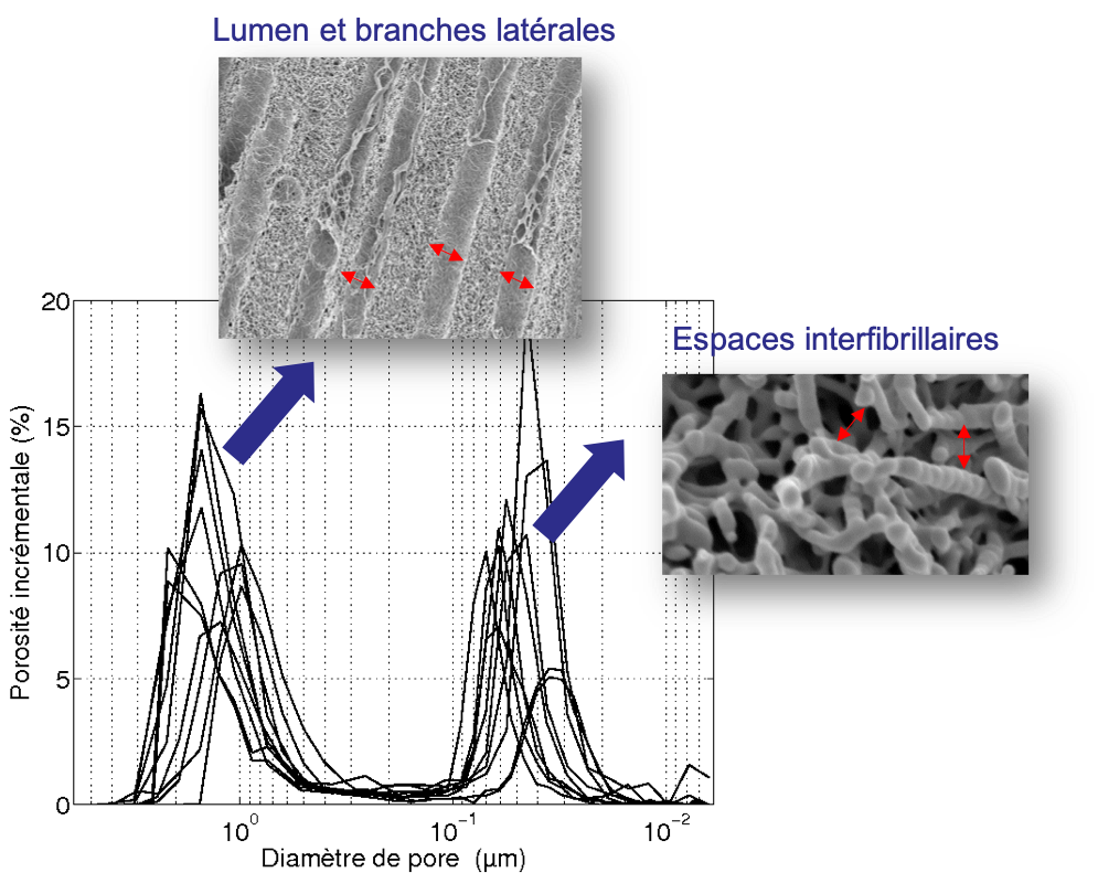 Porosimétrie - MSSMat