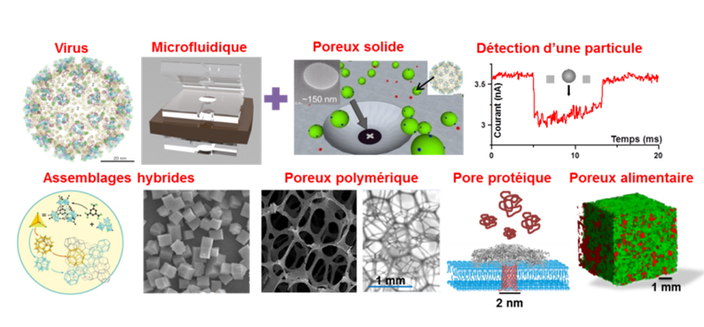 solide poreux dans un dispositif microfluique pour détecter un virus ; assemblages hybrides organiques-inorganiques; structure poreuse métallique crée à l’aide d’une matrice à base de polymère; mousse stabilisée par de la gélatine; pore protéique pour séparer en taille et en masse des biomolécules individuelles ; diffusion d’huile dans un poreux alimentaire, pomme de terre pour faire des aliments moins gras.